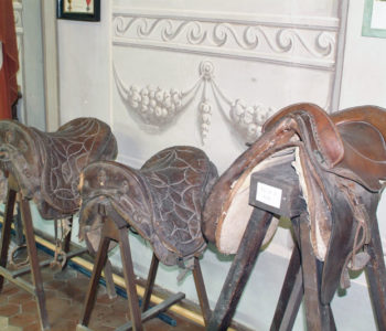 sala1-selle